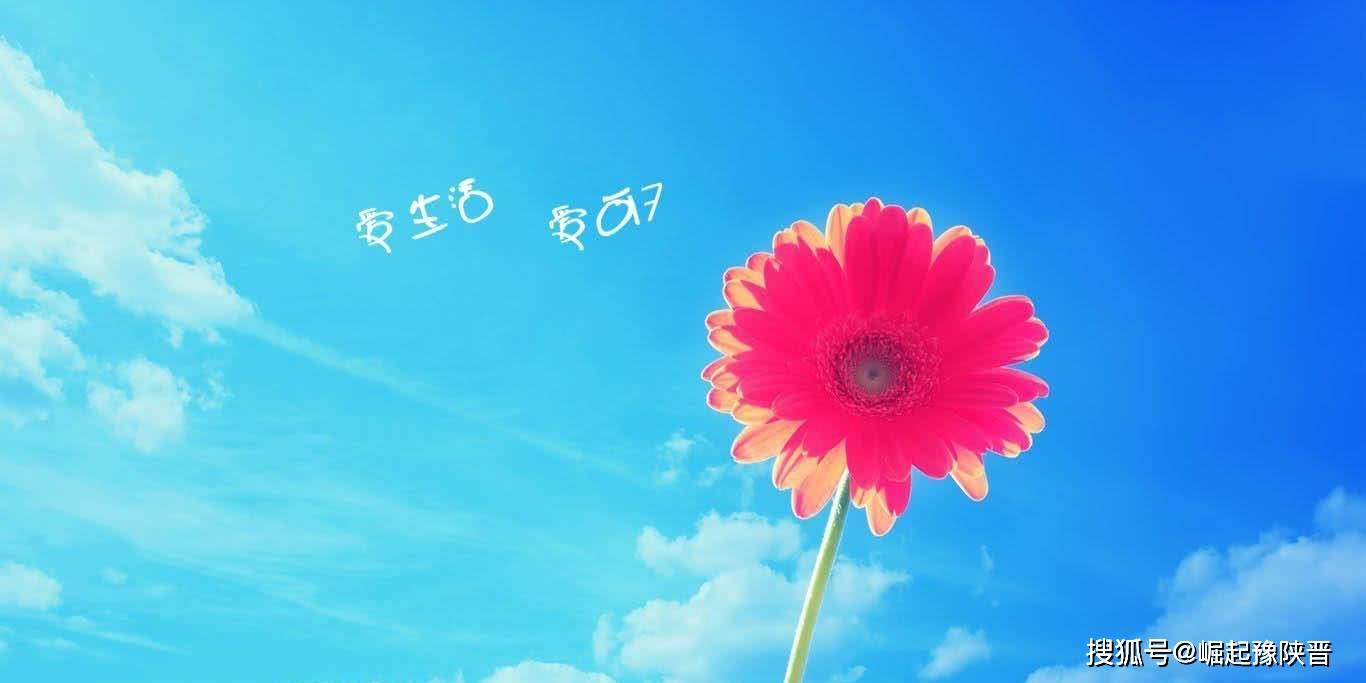 热爱生活拥抱快乐