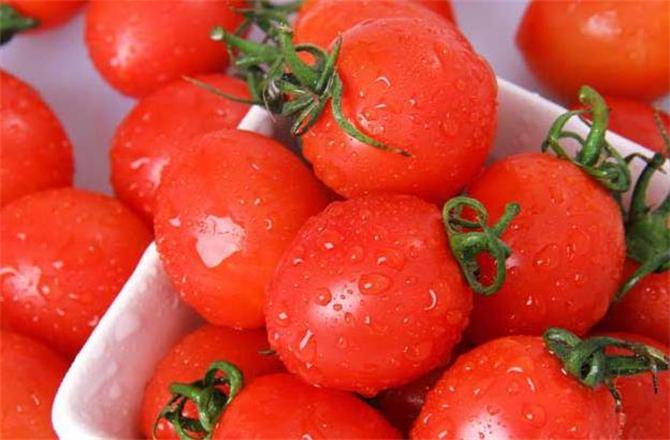 原创圣女果含糖量高吗圣女果减肥能吃吗圣女果是转基因食品吗