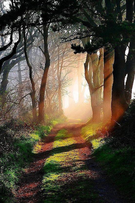 小学生学习古诗词100首必备附诗词解释与赏析三学无止境务必收藏