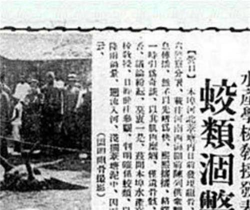 当时已经有很多营口的人说在田庄台上面发现了一只活龙