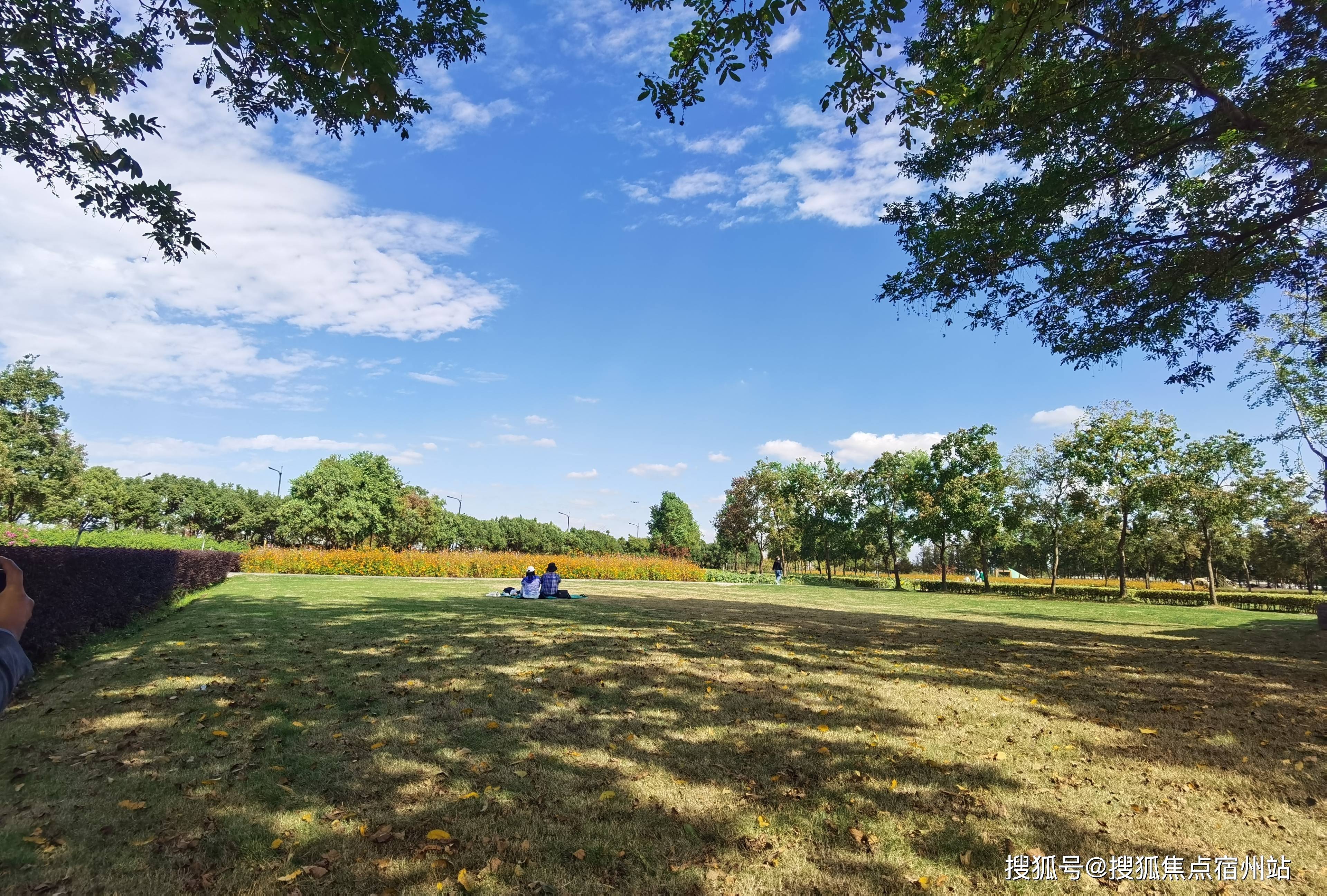 万科云之湾最新对未来的规划有什么需要注意的点