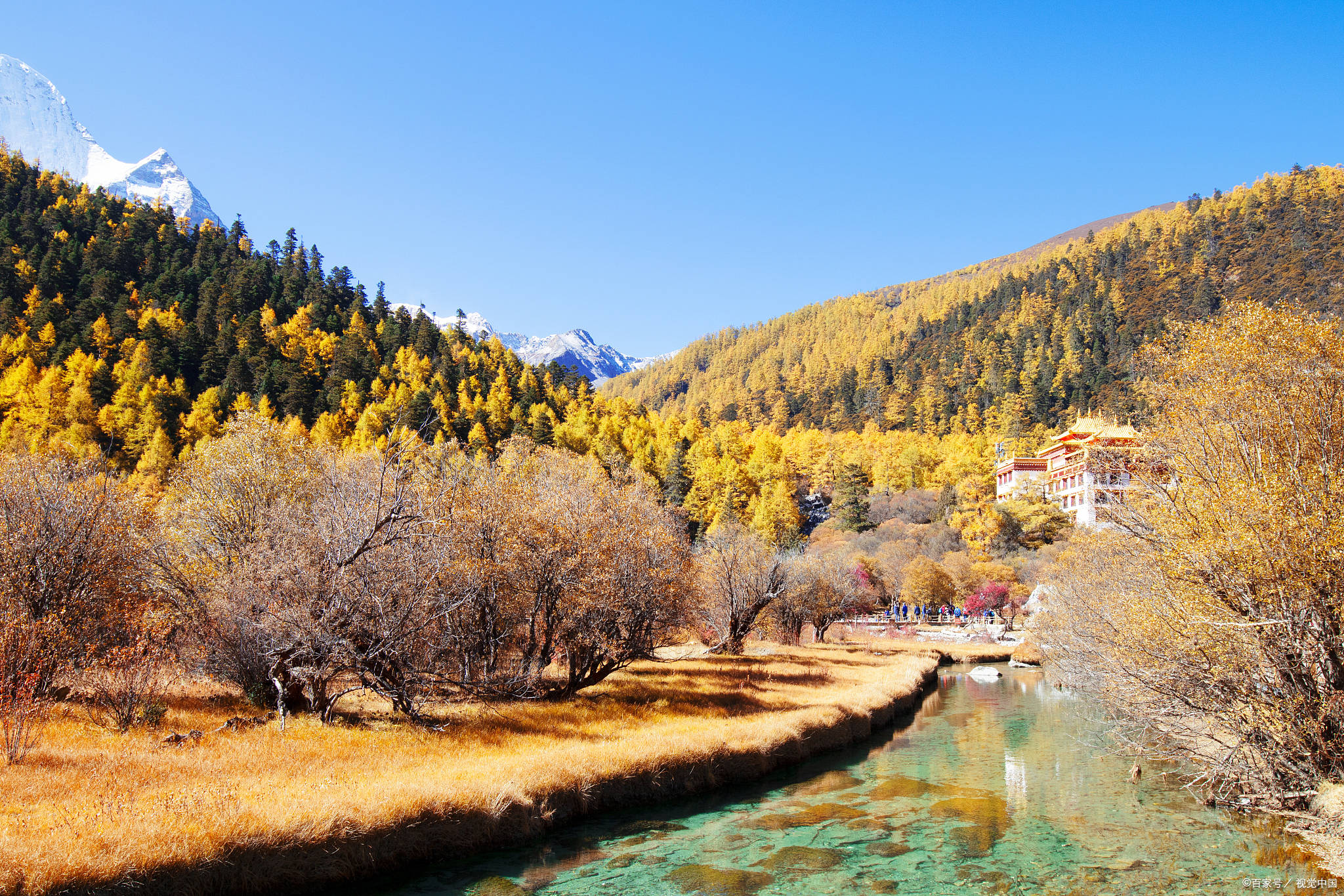 第5天:>拉萨>羊卓雍措【西藏三大圣湖之一】>圣湖旅拍>藏医药文化馆>