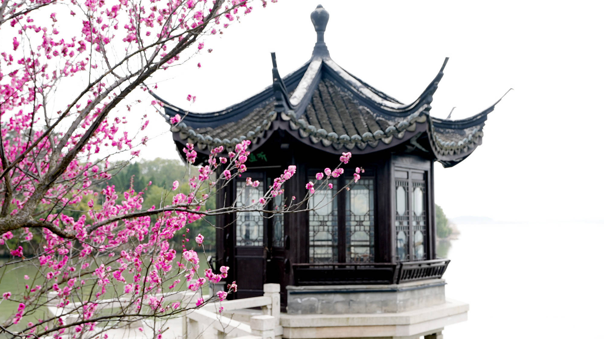 春和景明来昆山旅游度假区赴一场繁花之约