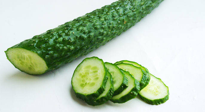 黄瓜产业的引领者_吕文_种植_挑战