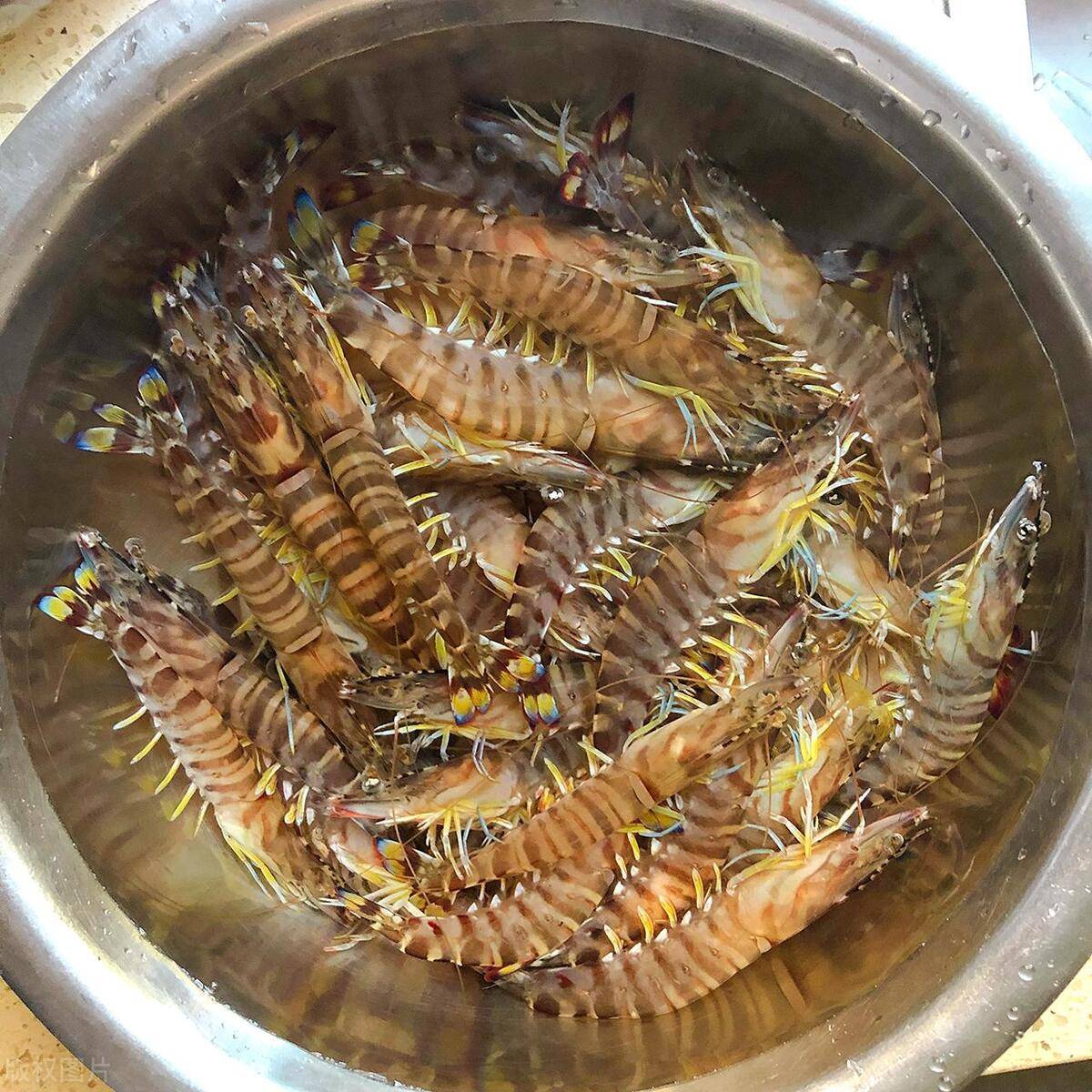 东山岛虾如意野生斑节虾干海味与健康新选择