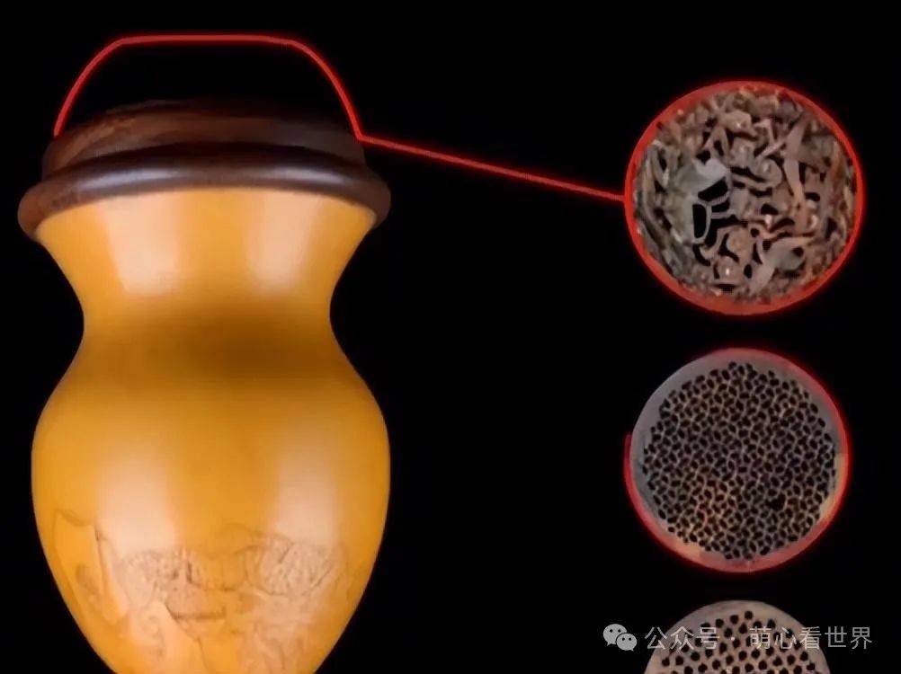 大妈带活物来鉴宝声称价值5000万专家不敢估价怕被抓