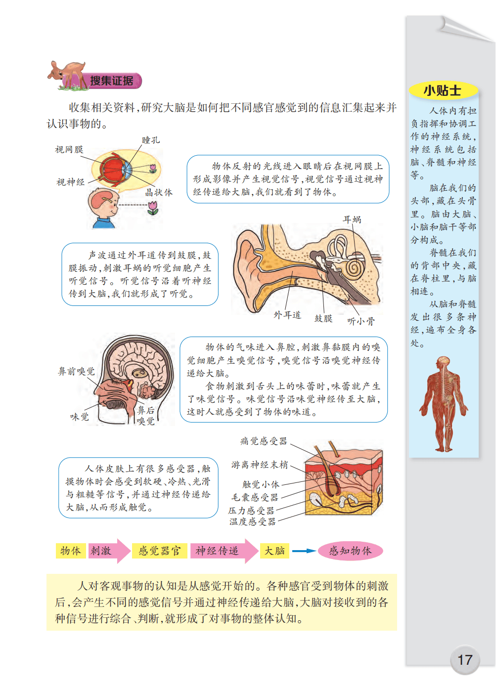 五午级科学电子课本图片