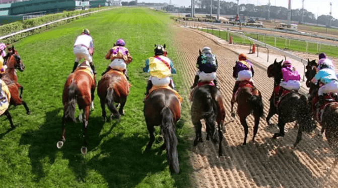 马主关闭马场令澳门丢尽面子