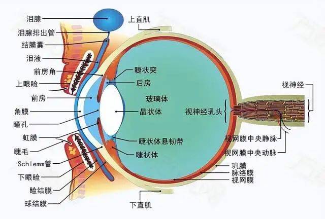 这款眼药水