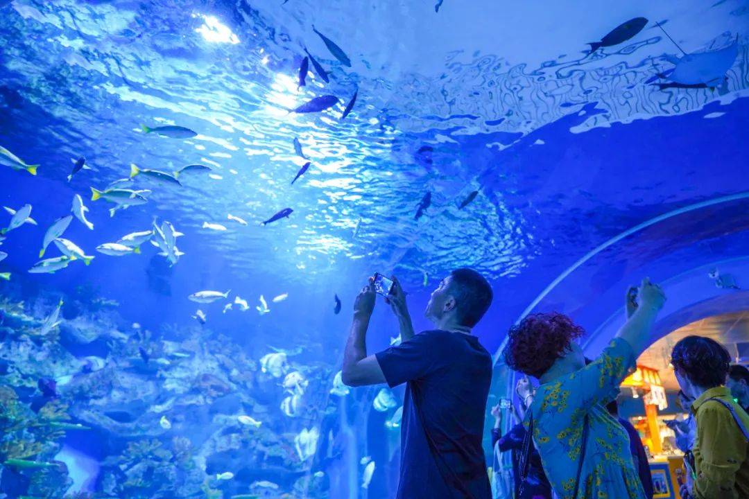 一眼心动日照这些打卡地每个都值得奔赴