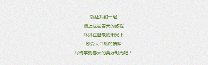 春光甚好 | 远离城市喧嚣 享受春日宁静_天山天池_索尔巴斯_景区
