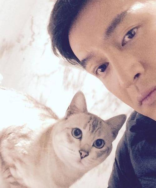 原创活该再红20年遇烈火而不死因梦想而重生的胡歌你知道多少