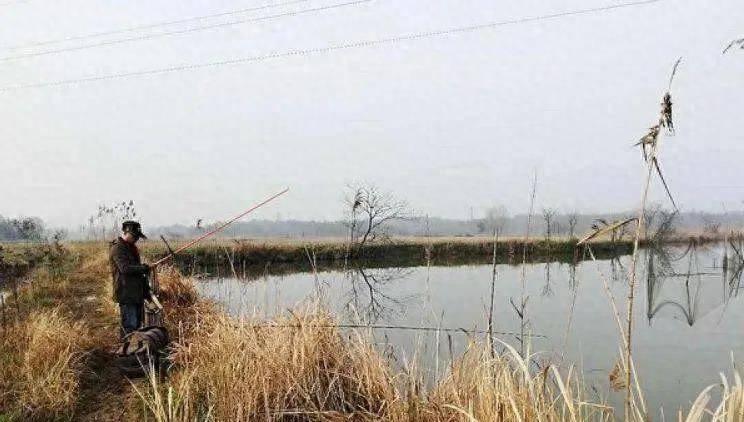 原创春季钓鱼乐趣掌握有效钓法鲫鱼排队进窝