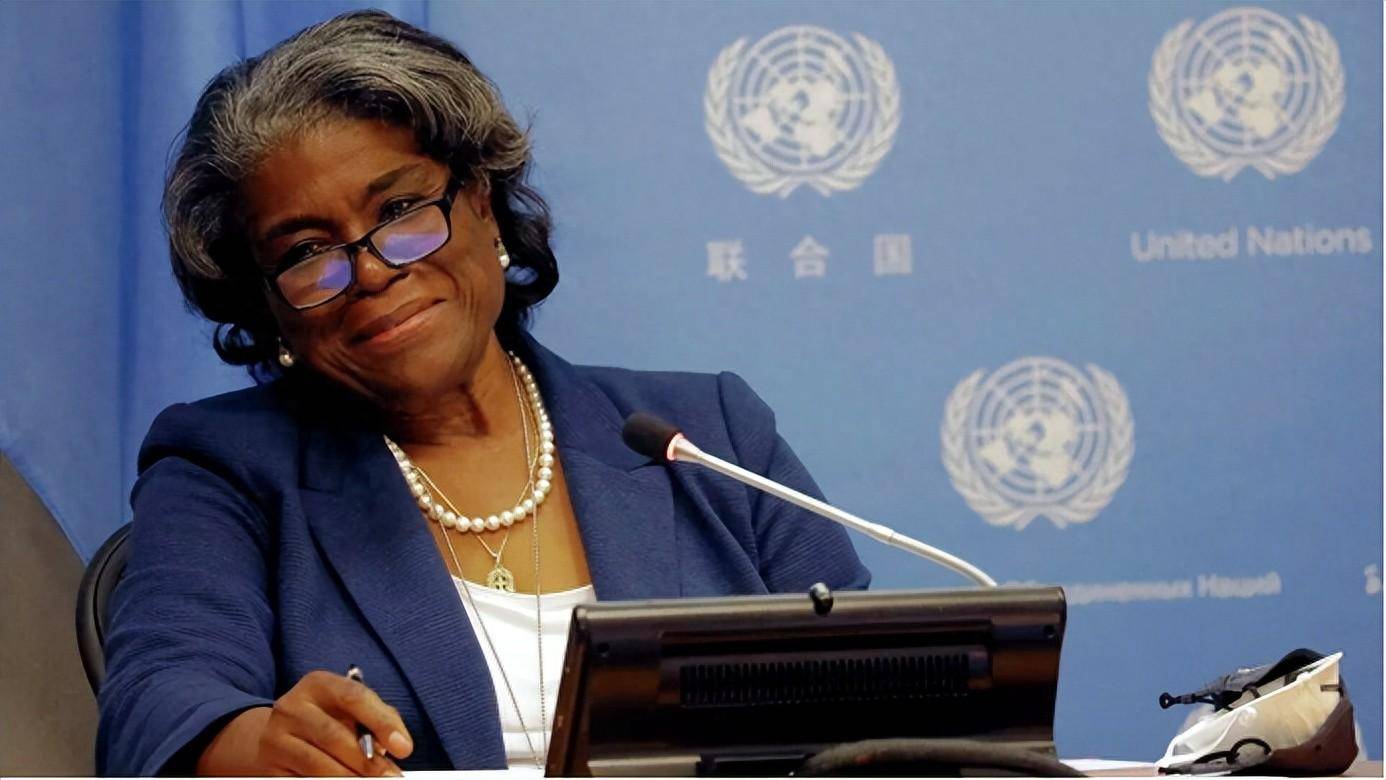 (美国驻联合国大使)结果,阿塔的强硬态度,不仅没有换来联合国的让步