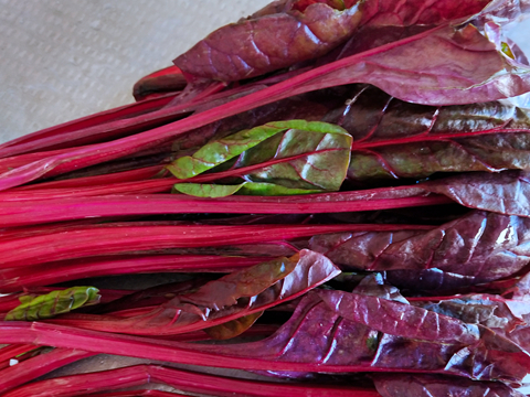 红梗甜菜洗净.