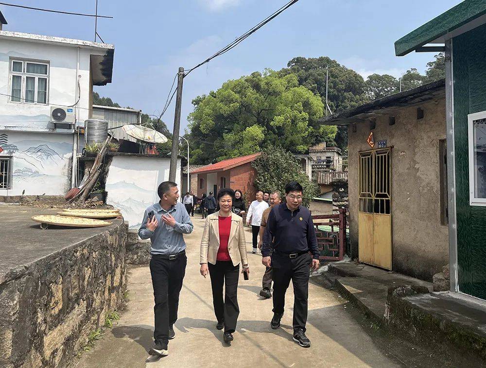 不负春光不负茶厦门市茶叶学会赴漳州考察交流