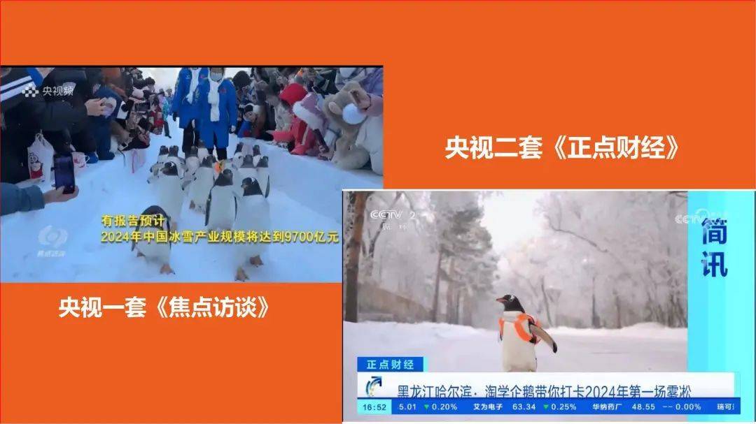 企鹅哈尔滨文旅爆火的导火线