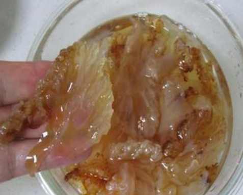 海蜇皮_胃口_姐夫