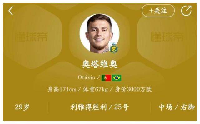 马纳法_比赛_球迷