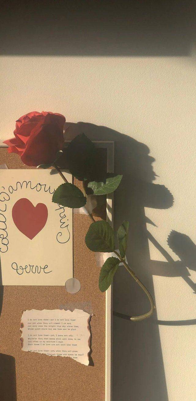 原创"值得收藏的不明显暗恋文案"_目光_音乐_月亮