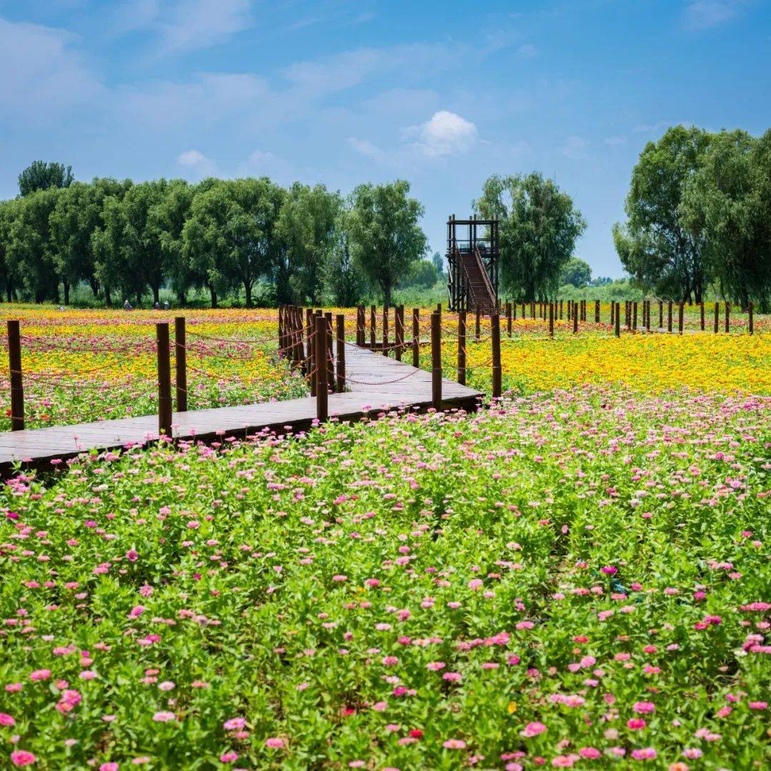 微山湖旅游区 丨春分至 燕归来 正是春游好时节