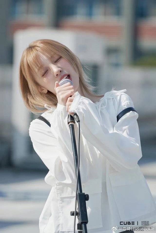 将以4人的形式进行,叶舒华缺席_fate_田小娟_韩流各