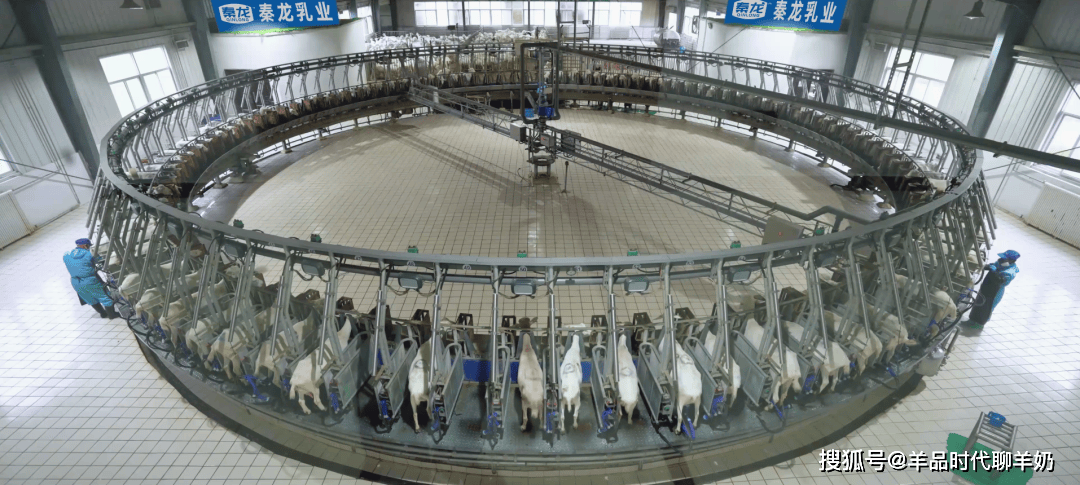 二月二龙抬头跟着羊品时代一起去5g智慧牧场踏青吧