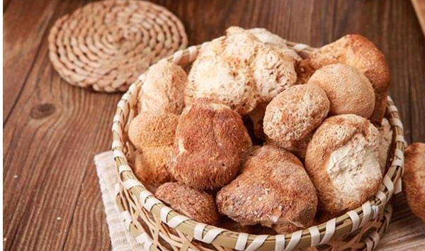 原创经常吃猴头菇会对身体有什么影响呢营养师给出了答案