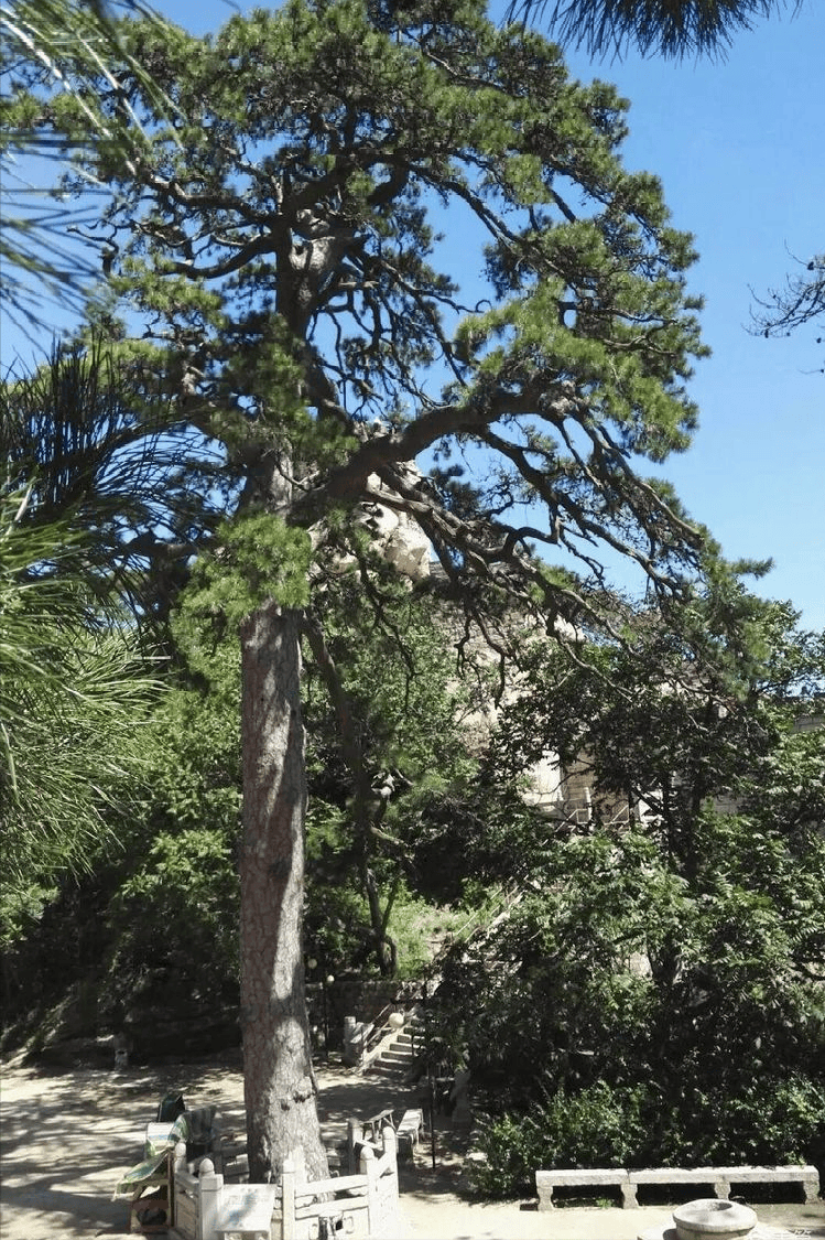 北镇名山医巫闾(游记)