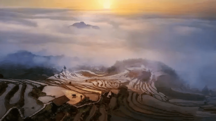 欧江帆影水墨仙都云和梯田楠溪江古堰画乡霞浦滩涂海带季摄影团