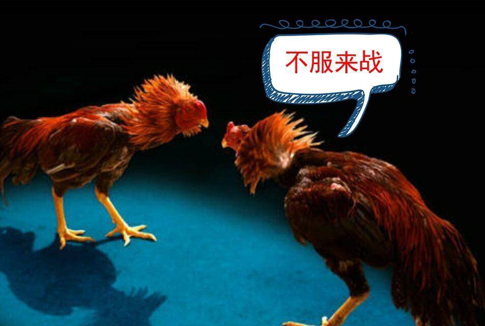 原创郭子兴你等着孙德崖你来啊朱元璋岳父为什么斗不过孙德崖