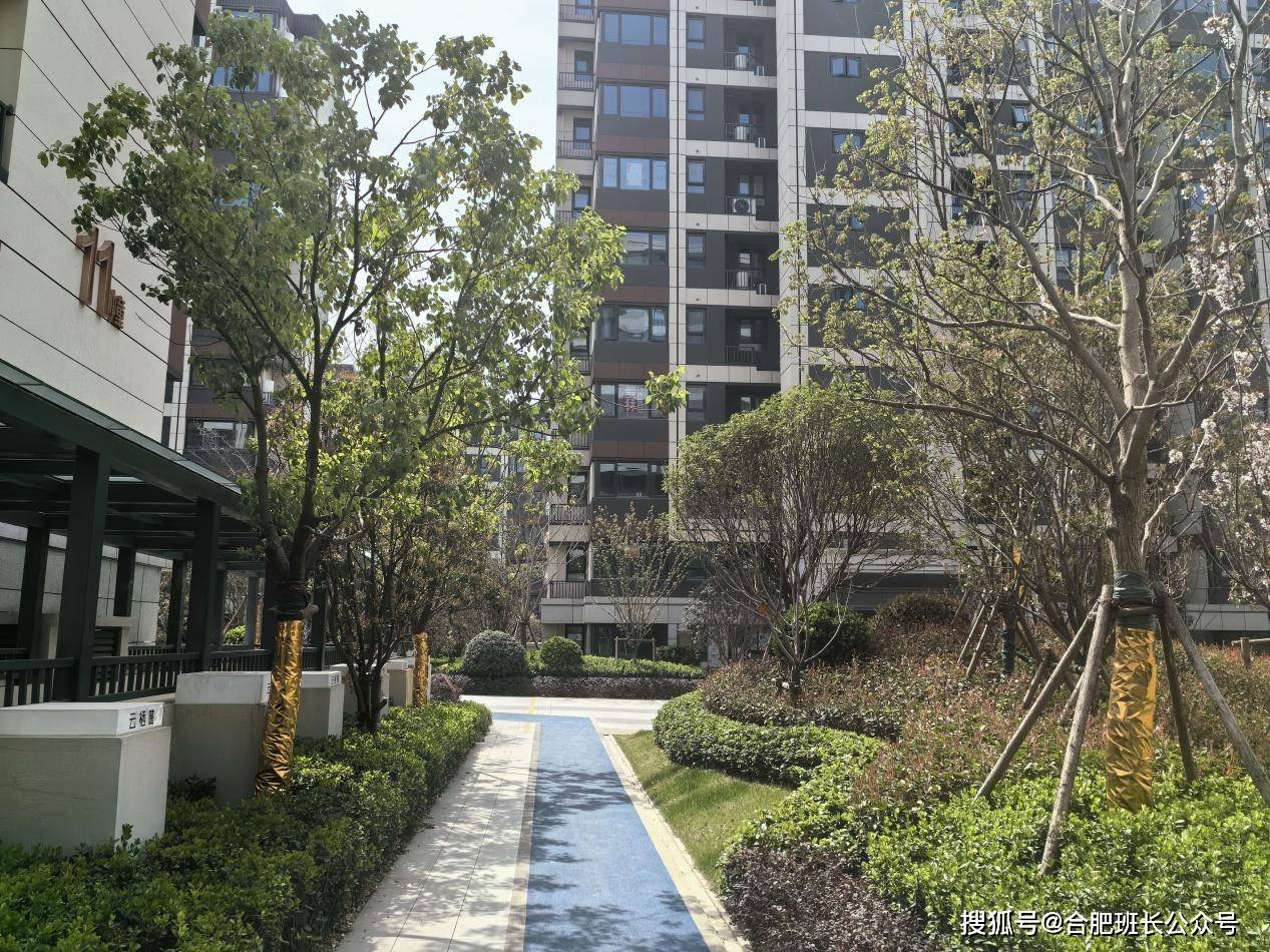 合肥首个公证摇号楼盘实探运河新城的上坤云栖麓