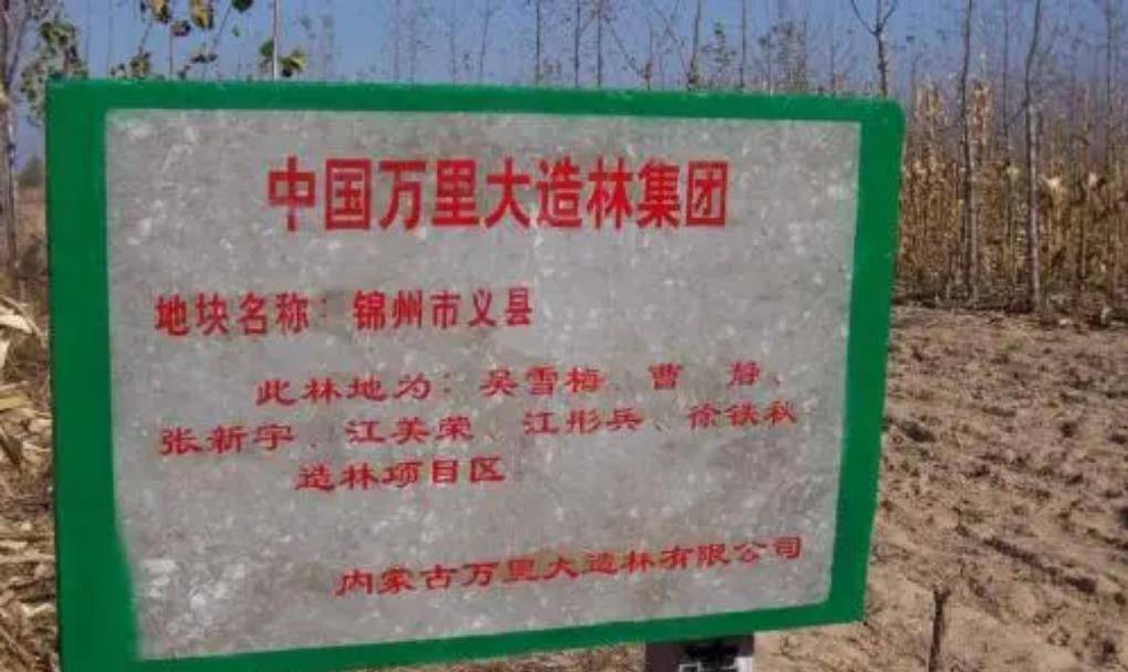 “万里大造林”陈相贵，08年被捕，狡辩：是为国家建绿色万里长城