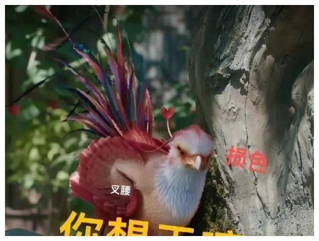 原创小凤凰咯咯哒表情包文化现象探秘观众参与热潮