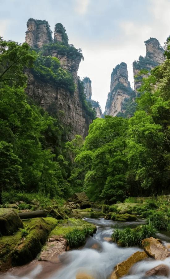 去张家界旅游人均多少钱?张家界四日游人均1000左右省钱攻略分享