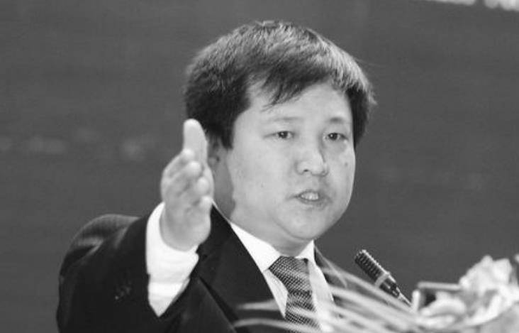 原创庞玉良白手起家花10亿买下德国机场收购13年仍以破产告终