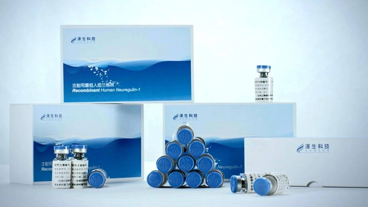 泽生科技举行注射用重组人纽兰格林iii期临床试验中期全国研究者会议
