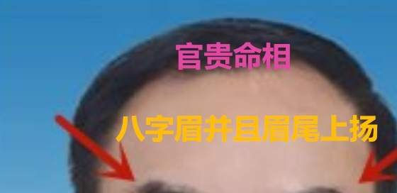 将军_眉毛_性格