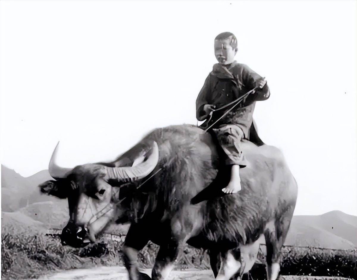 安阳女子26年前资助放牛娃,2019年放牛娃难忘恩情找到她