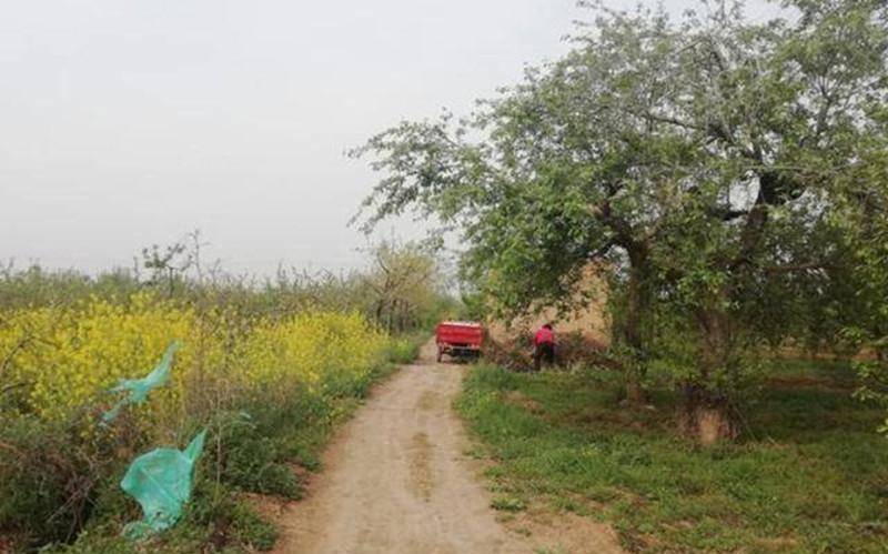 原创韩培印倾家荡产供儿子上大学毕业三年月薪1500他做错了什么