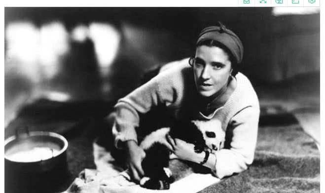 曾两次偷盗中国熊猫,最后在自责中凄惨离世_露丝·哈克尼斯_国家_苏琳