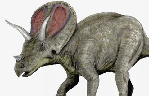 原创三角龙有没有天敌三角龙的天敌是谁你肯定不知道