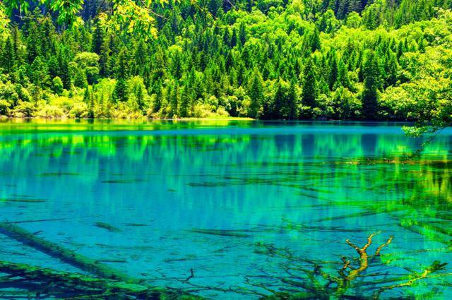 春天四川美景有哪些,四川旅游景点大全,到四川去旅游有哪些好玩的景点