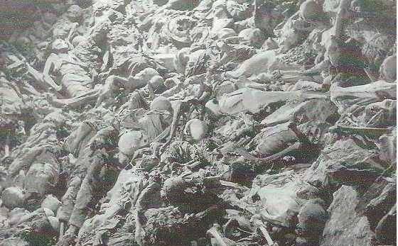 专家说出一段残酷的历史_万人坑_中华民族_日军