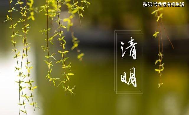 清明节又叫踏青节,在仲春与暮春之交,也就是冬至后的第108天.