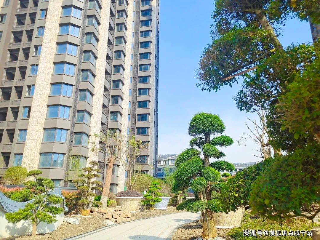 泗泾绿中海上海泗泾绿中海首页网站丨泗泾绿中海楼盘详情户型配套