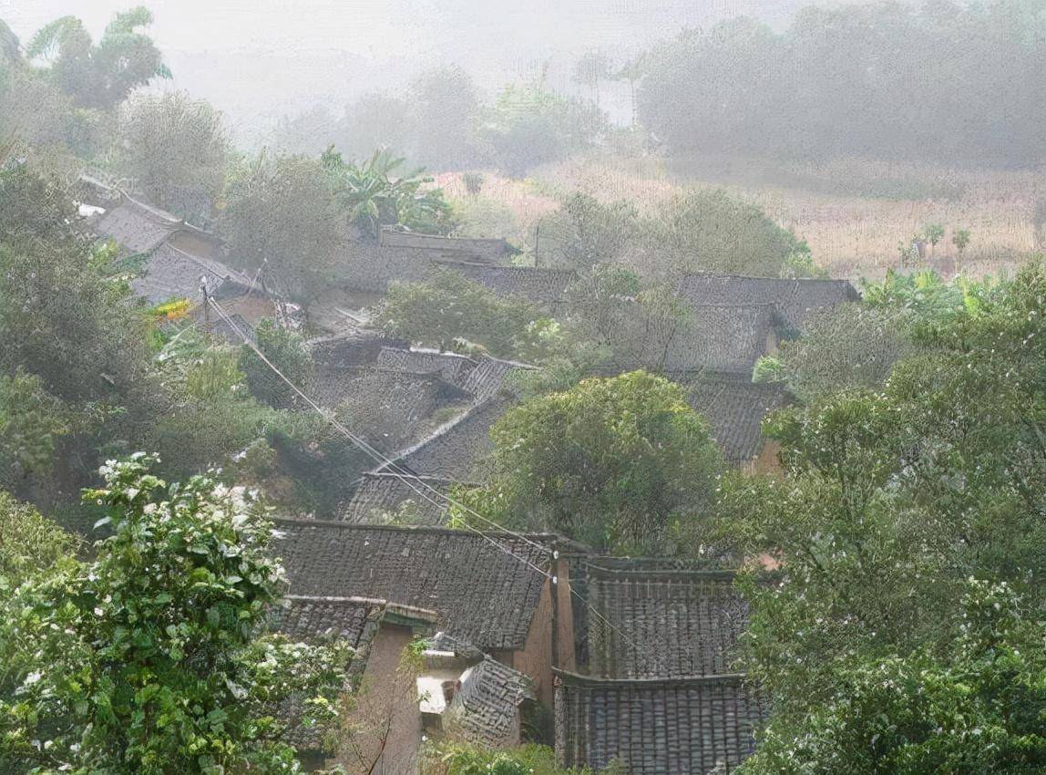 "夺命寡妇村":村中壮年男人接连离奇死亡,专家揭开神秘面纱_塘村_事情