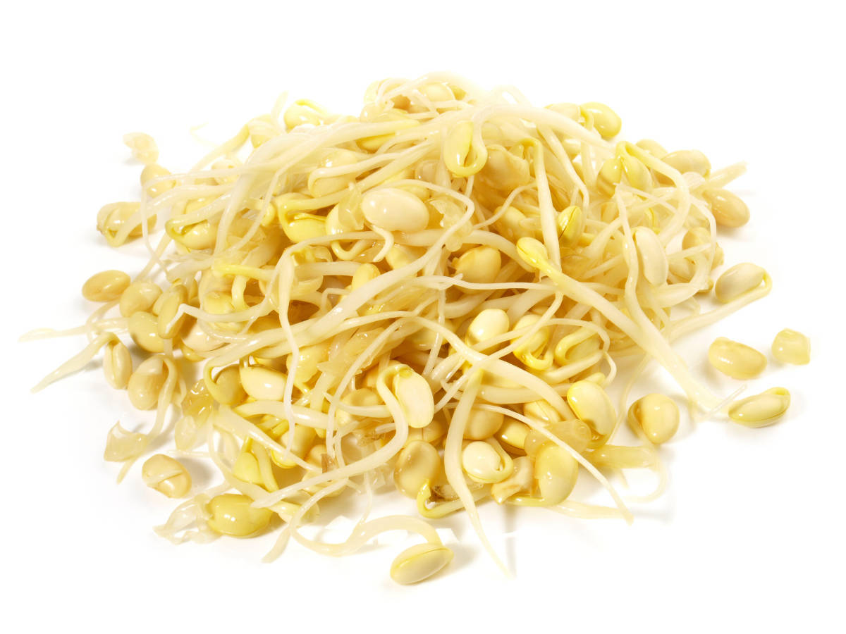 豆芽_减肥_人体