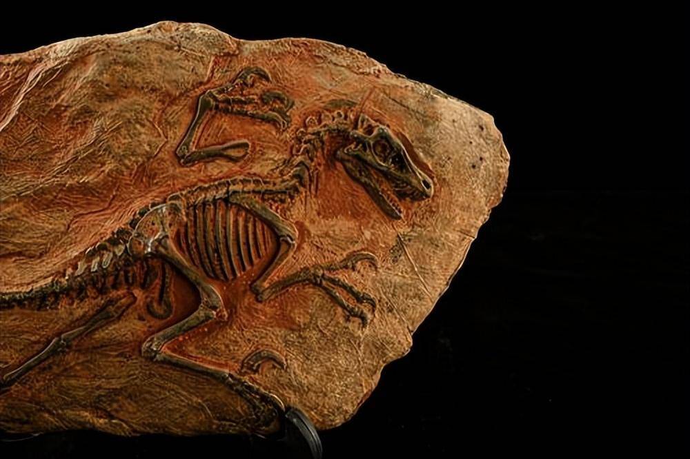 原创恐龙在地球17亿年还是头脑简单为何没有进化出高等智慧