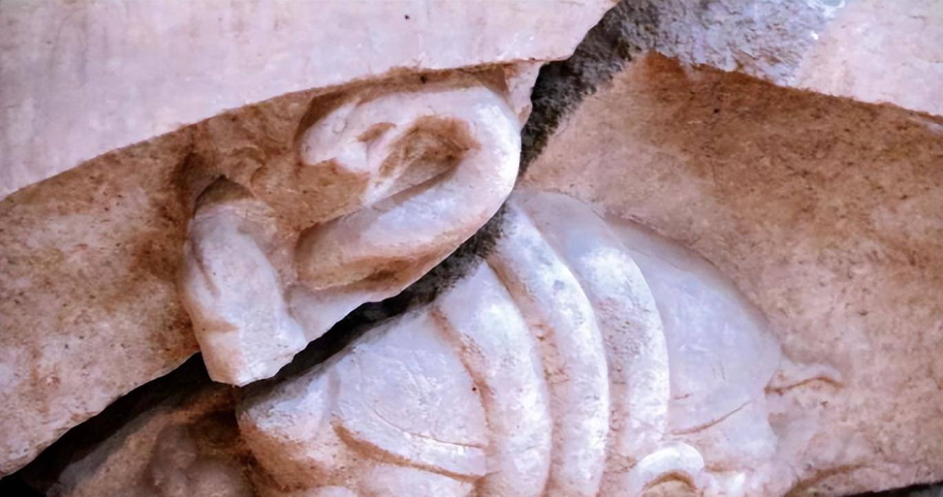 其次,安禄山是被自己亲生儿子安庆绪所杀,安庆绪以下